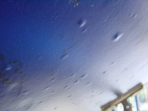 Osmosebehandeling Grand Banks